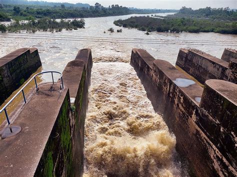 Pong Dam Wildlife Sanctuary