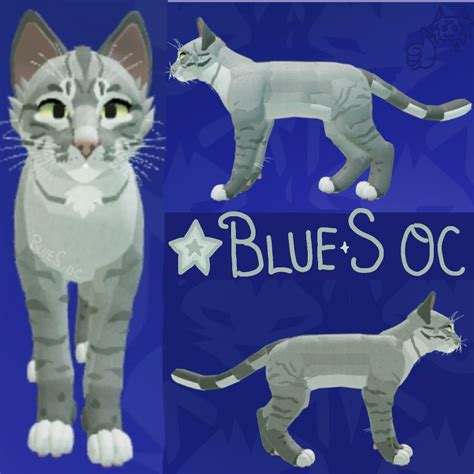 Very Pretty Grey Ticked Tabby Oc 3
