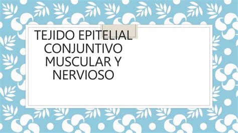 Tejido Epitelial Conjuntivo Muscular Y Nervioso Pptx