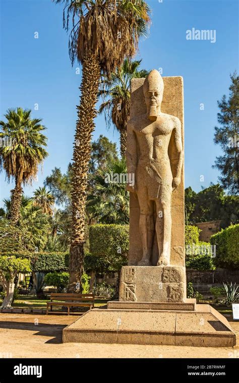 Estatua Tallada Del Rey Ramesses II En El Museo De Memphis Egipto