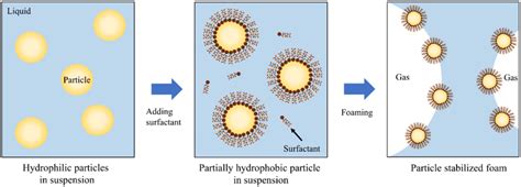 Mechanism of surfactant stabilizing foam. Image based on Ref. 128 ...