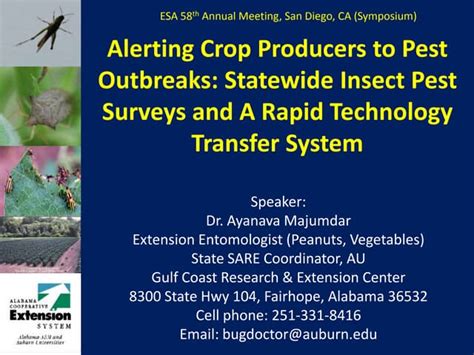 Alerting Crop Producers To Pest Outbreaks Statewide Insect Pest