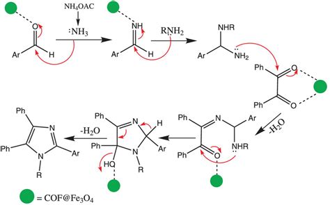 Proposed Mechanism For The Magnetic Cof Catalyzed The Tetraaryl