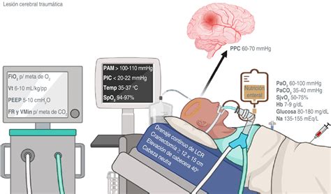 Fisiopatolog A Diagn Stico Y Tratamiento De La Lesi N Cerebral Traum Tica