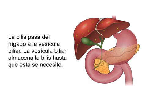 Patedu Colecistectom A Abierta Y Laparosc Pica