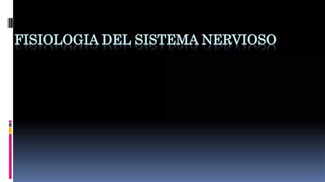 Fisiología Anatomía Y Fisiología Del Sistema Nervioso Sinapsis Receptores Neurotransmisores