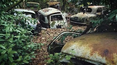 Car Graveyard Treasure Trove Of Vintage Vehicles Uncovered In