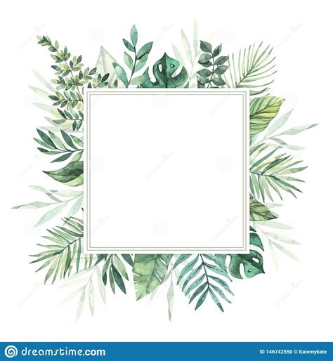 Ilustraci N De La Acuarela Etiqueta Tropical Del Verano Monstera