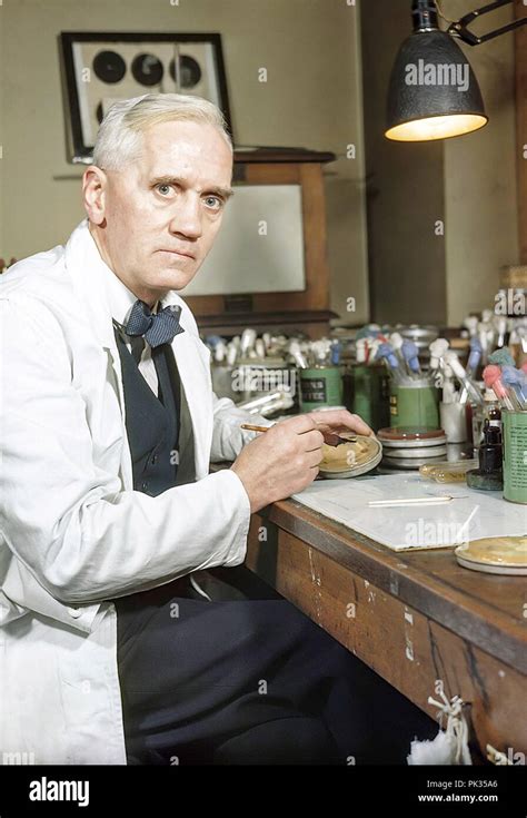 Portrait Of Scientist Alexander Fleming Stock Photo Alamy
