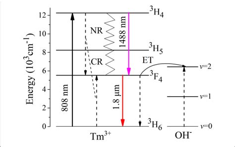 The Energy Level Diagram And Energy Transfer Mechanism Of Tm Ions