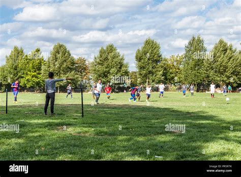 Springfield park london hi-res stock photography and images - Alamy