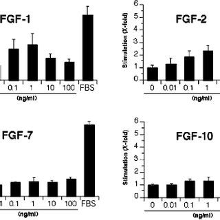 Fgf Induced Dna Synthesis In Fgfr Iiib Transfected L Cells Cells