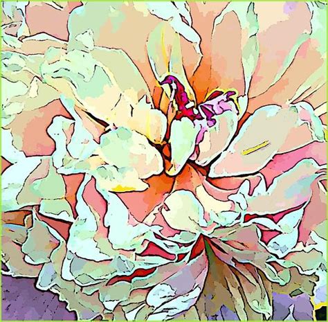 Peony Beautiful Art By Mindy Newman