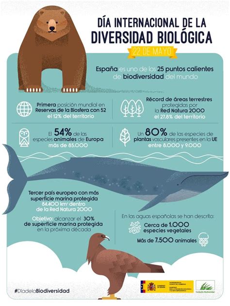 Fundación Biodiversidad FBiodiversidad Twitter Map Map screenshot