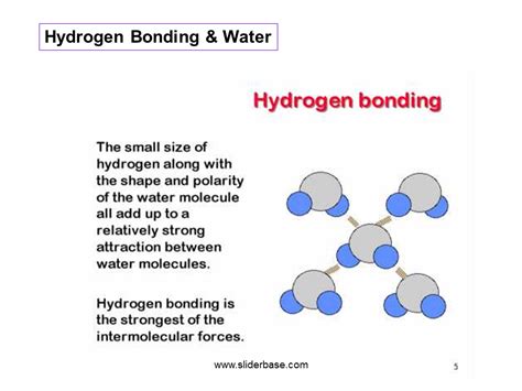 Hydrogen Bonding And Water