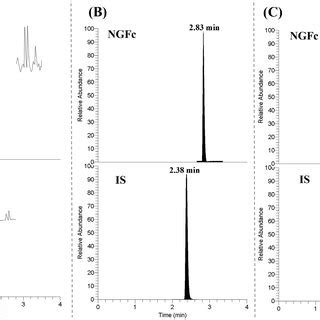 Selective Reaction Monitoring SRM Chromatograms Of NGFc And IS In Rat