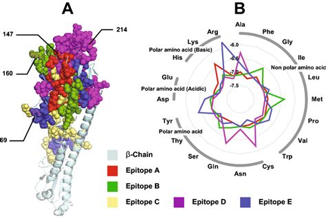 (A) 3D structure of hemagglutinin protein (HA) indicating diversifying ...