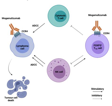 Figure 2 From Chemokine Directed Tumor Microenvironment Modulation In Cancer Immunotherapy