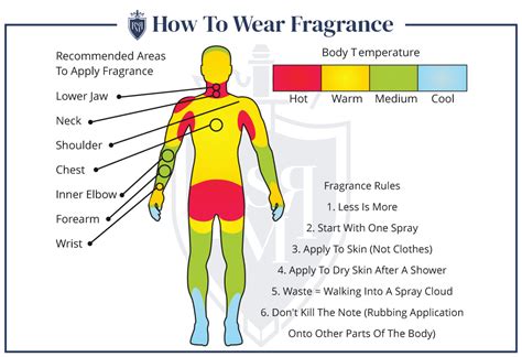 Where To Put Perfume On Body Tunersread