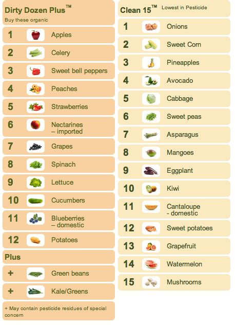 Dry Fruits: Calories In Dry Fruits Chart