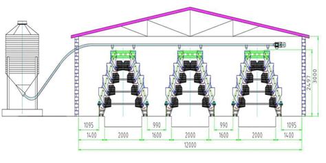 4 Tiers 160 Birds Layer Chicken Cage Henan Dingtuo Machinery And