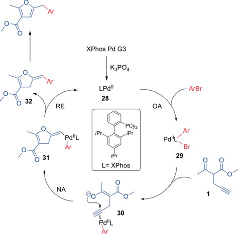 Scheme Plausible Reaction Mechanism Oa Oxidative Addition Re