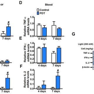 Th Related Cytokine Expression Level Changes After Ce Pdt Treatment