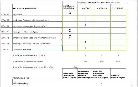 Excel Pflegegradrechner F R Erwachsene Und Kinder Version