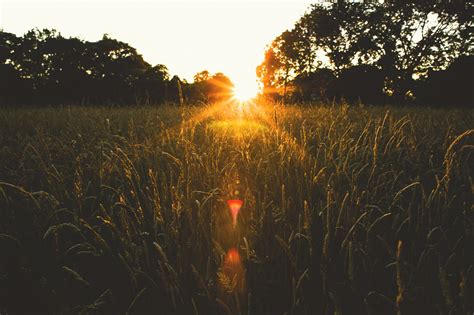 Papel de parede luz solar panorama Pôr do sol natureza reflexão