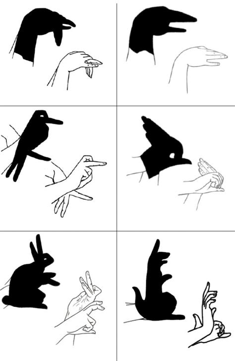 28 best hand shadow puppet's images on Pinterest