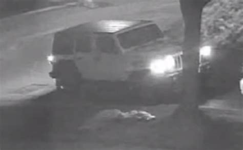 Police Trying To Identify Vehicle That Reportedly Fled Scene Of Double