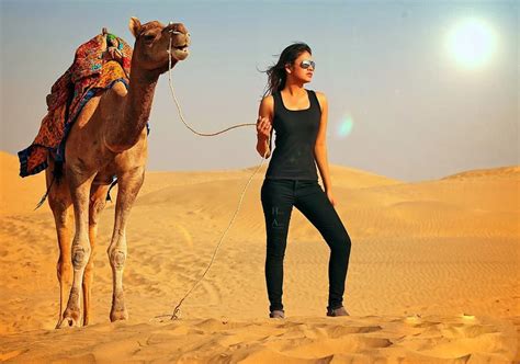 Camel Safari Jaisalmer Explore The Golden Sand Dunes