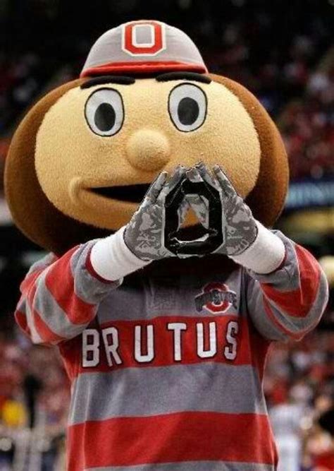 1000+ images about BRUTUS BUCKEYE on Pinterest