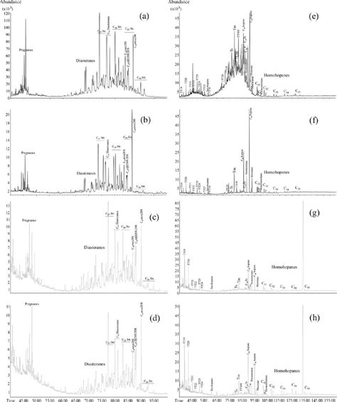 A B C D Mz 217 Mass Chromatograms Showing The Distribution