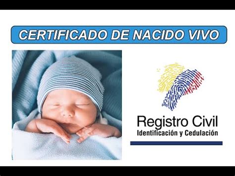 Obtención del Certificado de Nacido Vivo en Línea Guía Completa y