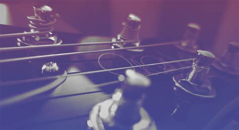 Products catalog | Savarez