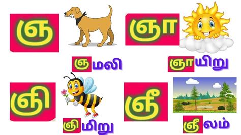 உயிர் மெய் எழுத்துக்கள் ஞ ஞா ஞி வரிசை எழுத்துக்கள் Tamil Alphabets Gna Gnaa Gni Gnee