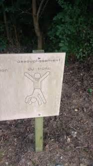 Lilac Bikini And Shades Craftyboo