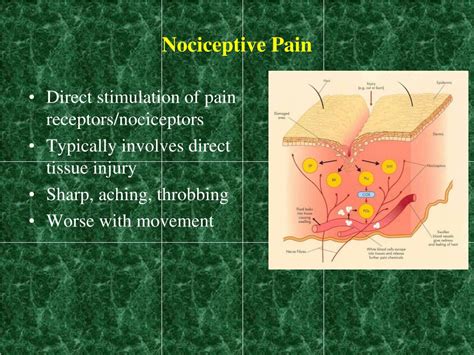 Ppt Prescribing Pain Medications A Scientific Approach Powerpoint Presentation Id 1698035