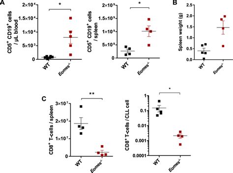 Cd8⁺ T Cell Mediated Cll Control In The Tcl1 At Mouse Model Depends On