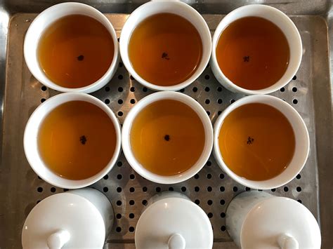 Tie Guan Yin Oolong Winter 2021 | Eco-Cha Teas 
