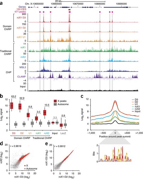 Chirp Boosts Genomic Occupancy Signal Relative To Traditional Download Scientific Diagram