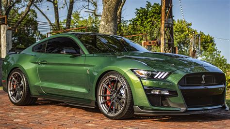 Ford Shelby Gt Signature Sv S