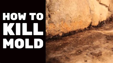 BASEMENT FINISHING COURSE VIDEO: How to Kill Mold - Baileylineroad