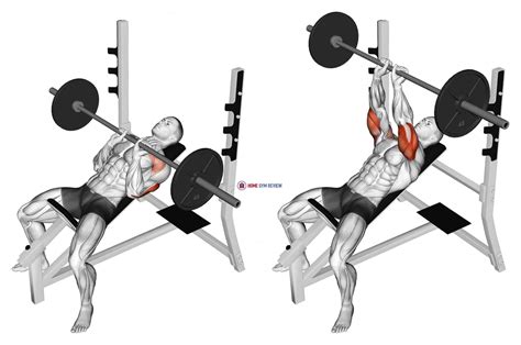 Barbell Incline Close Grip Bench Press - Home Gym Review