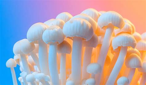 Can You Smoke Shrooms Is It Safe And Effective