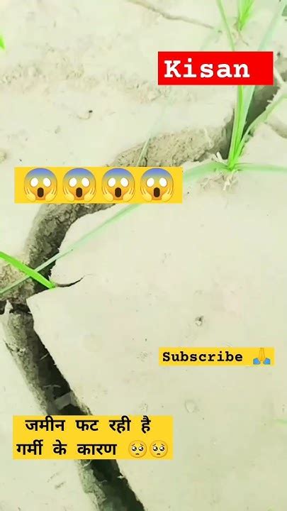 😱🥺जमीन फट गया 😱😱farming Farmer 👨‍🌾motivation Shorts Ojhasir Instagram Youtubeshorts Youtube