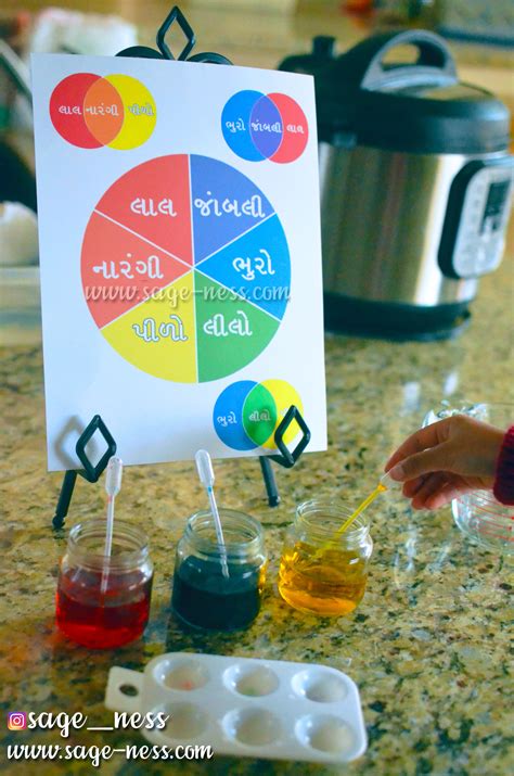 Gujarati Color Wheel For Holi Sageness