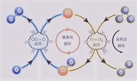 650万平方公里！北极上空的臭氧层空洞会对地球产生什么影响？北极臭氧层臭氧新浪新闻