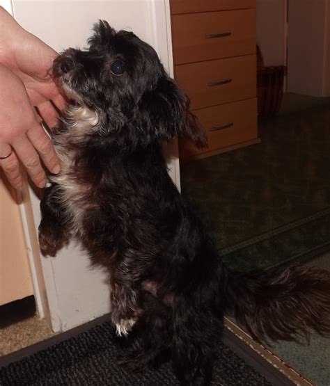 Гость:)) - Человеку надо мало... — LiveJournal